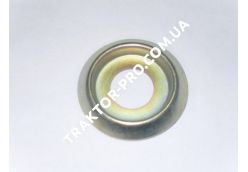 Пластина прижимная масляного фильтра DL190-12